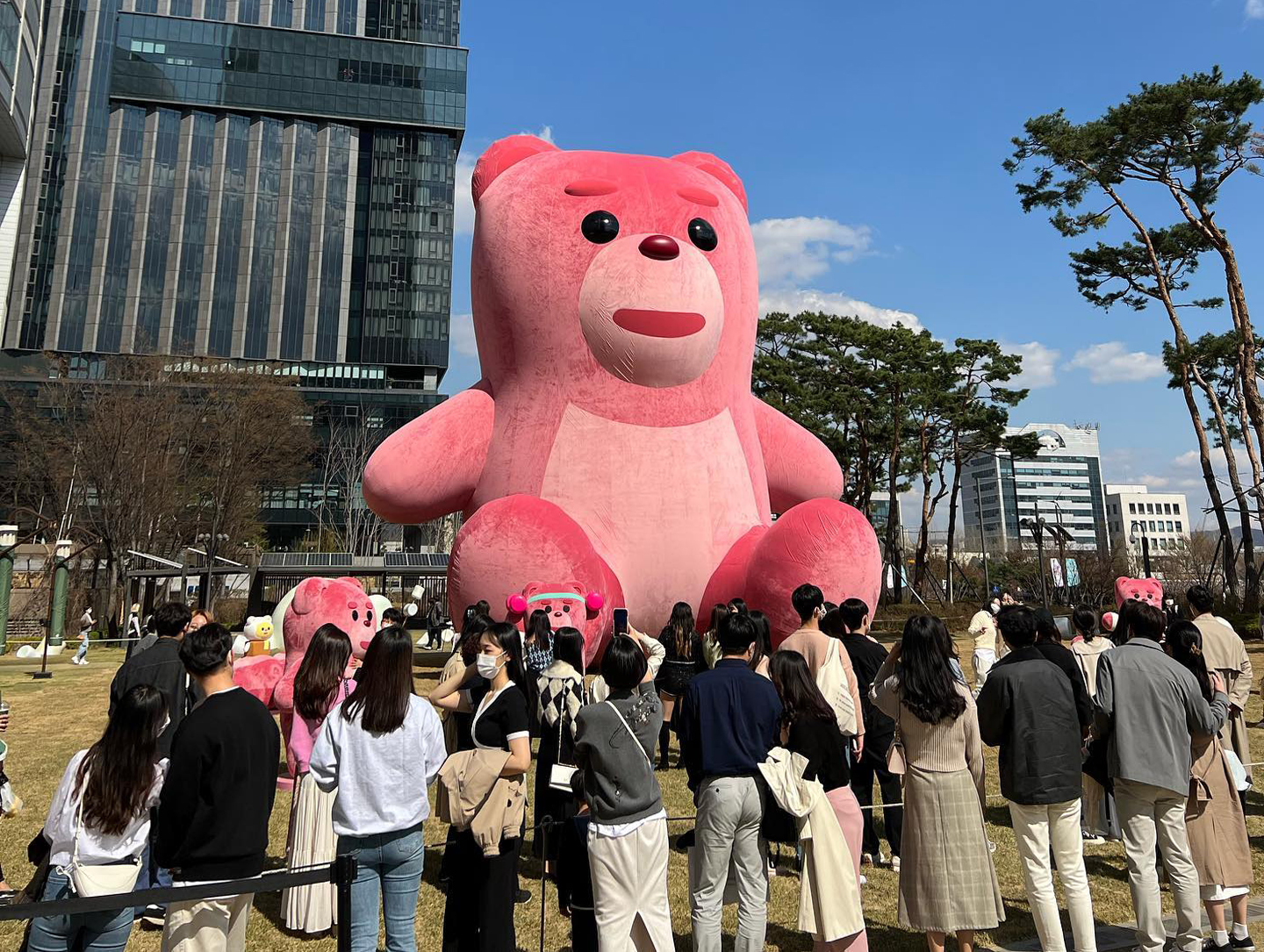 ����� �̹���