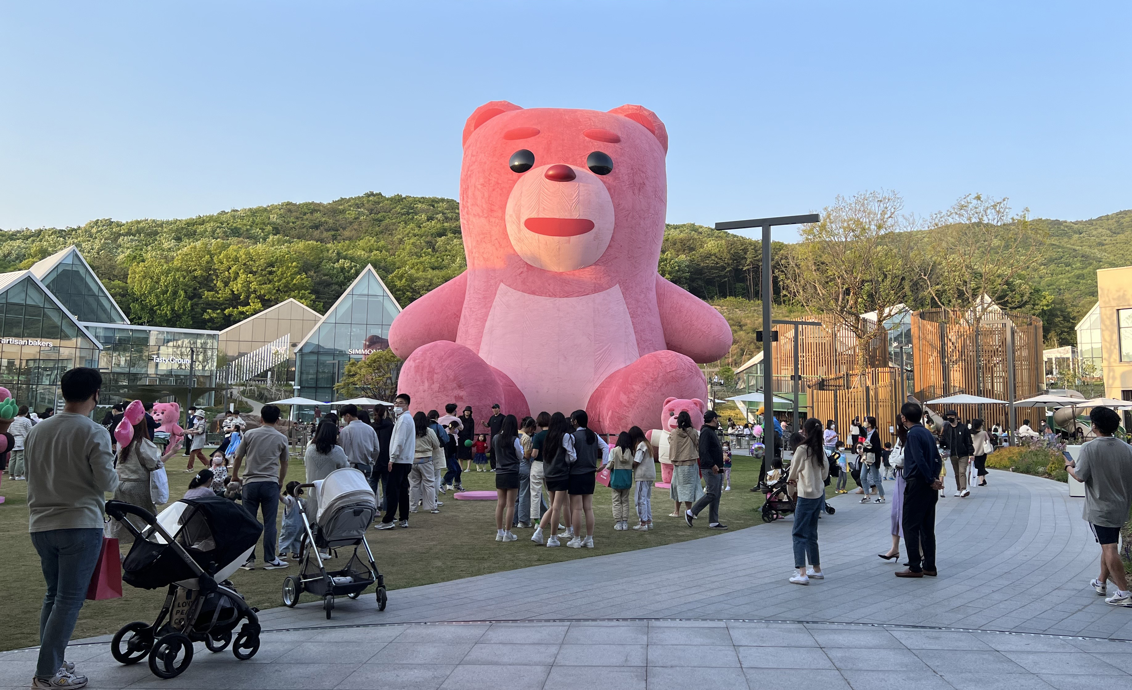 ����� �̹���