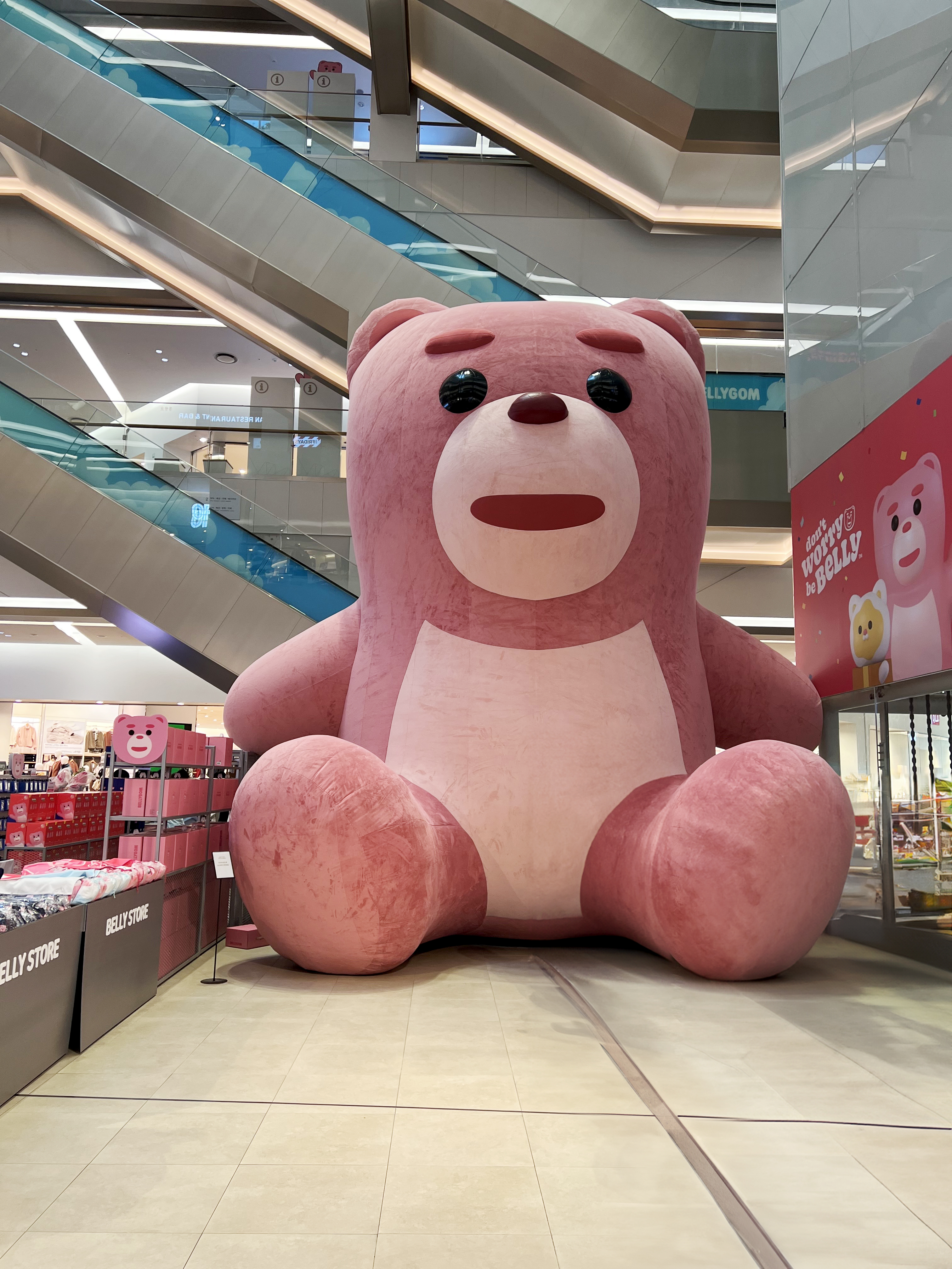 ����� �̹���