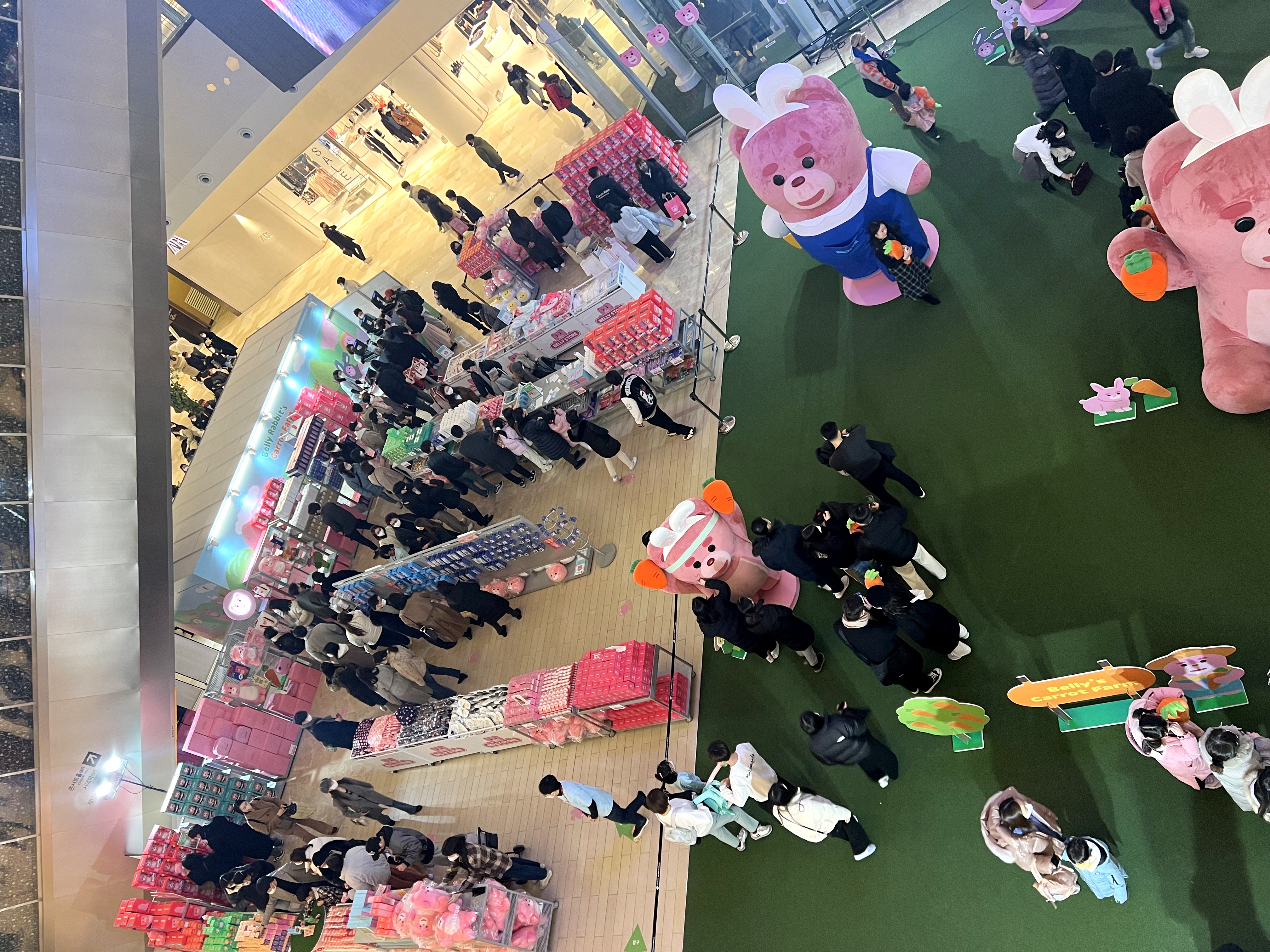 ����� �̹���