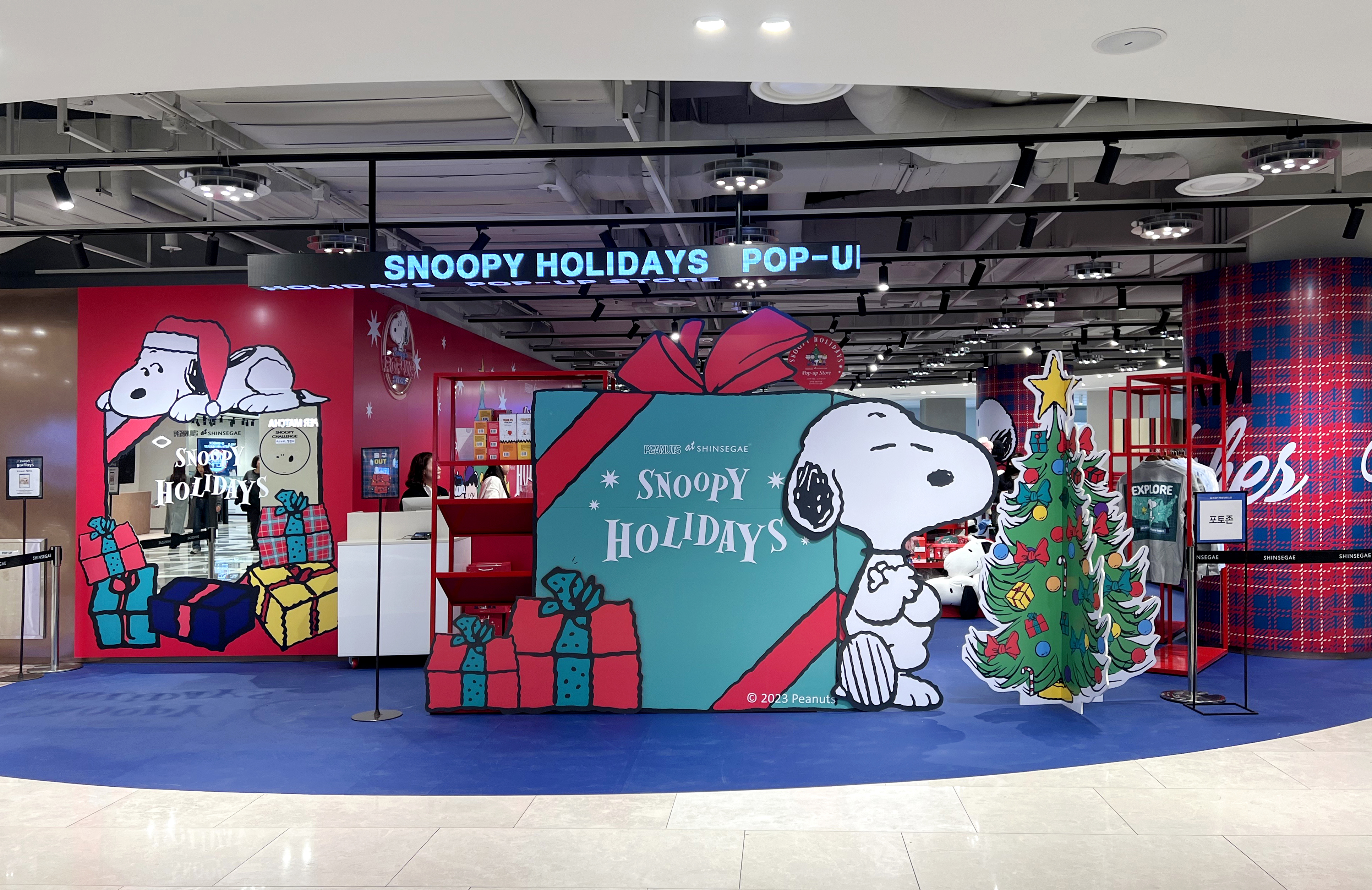 ����� �̹���