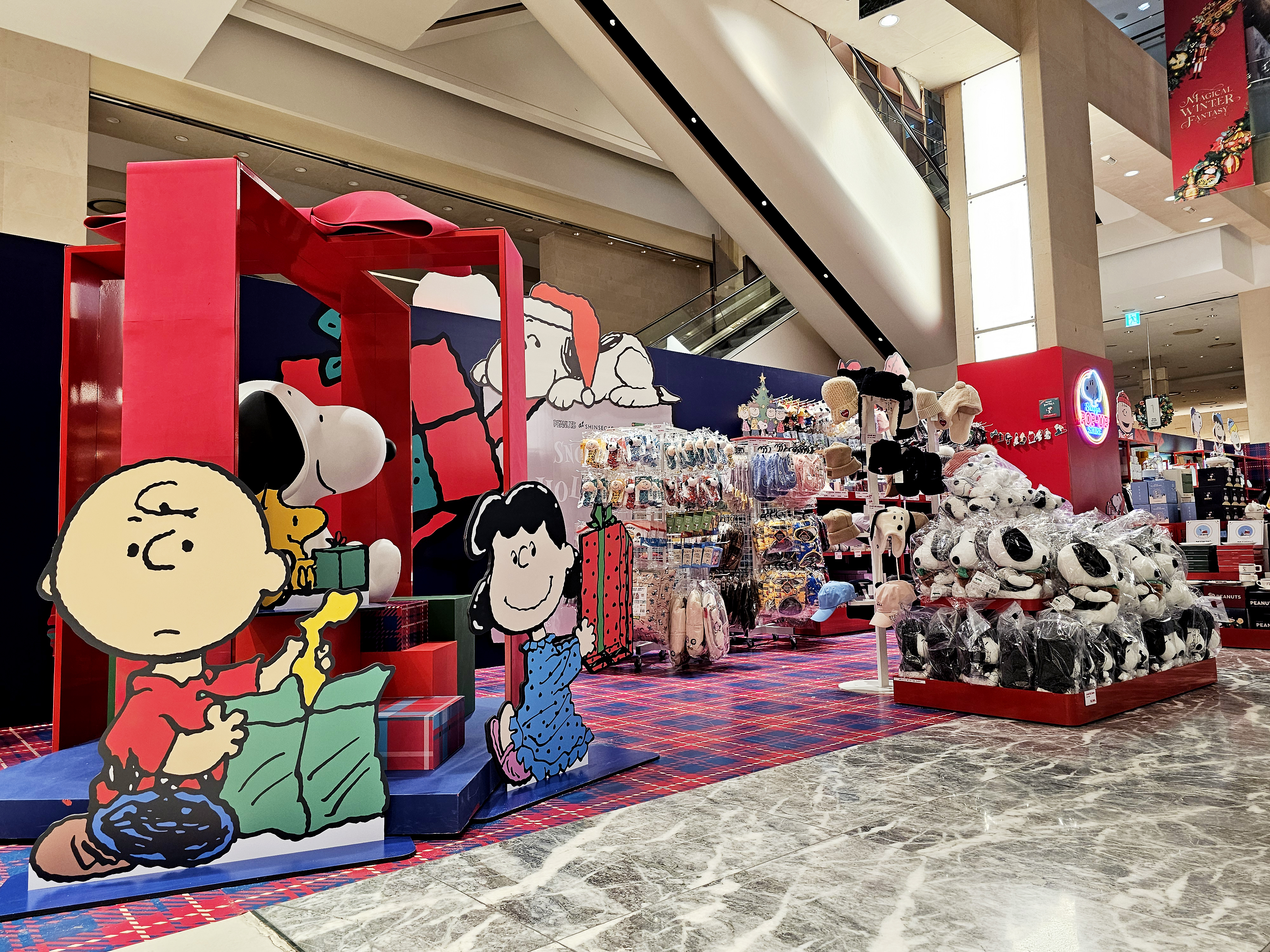 ����� �̹���