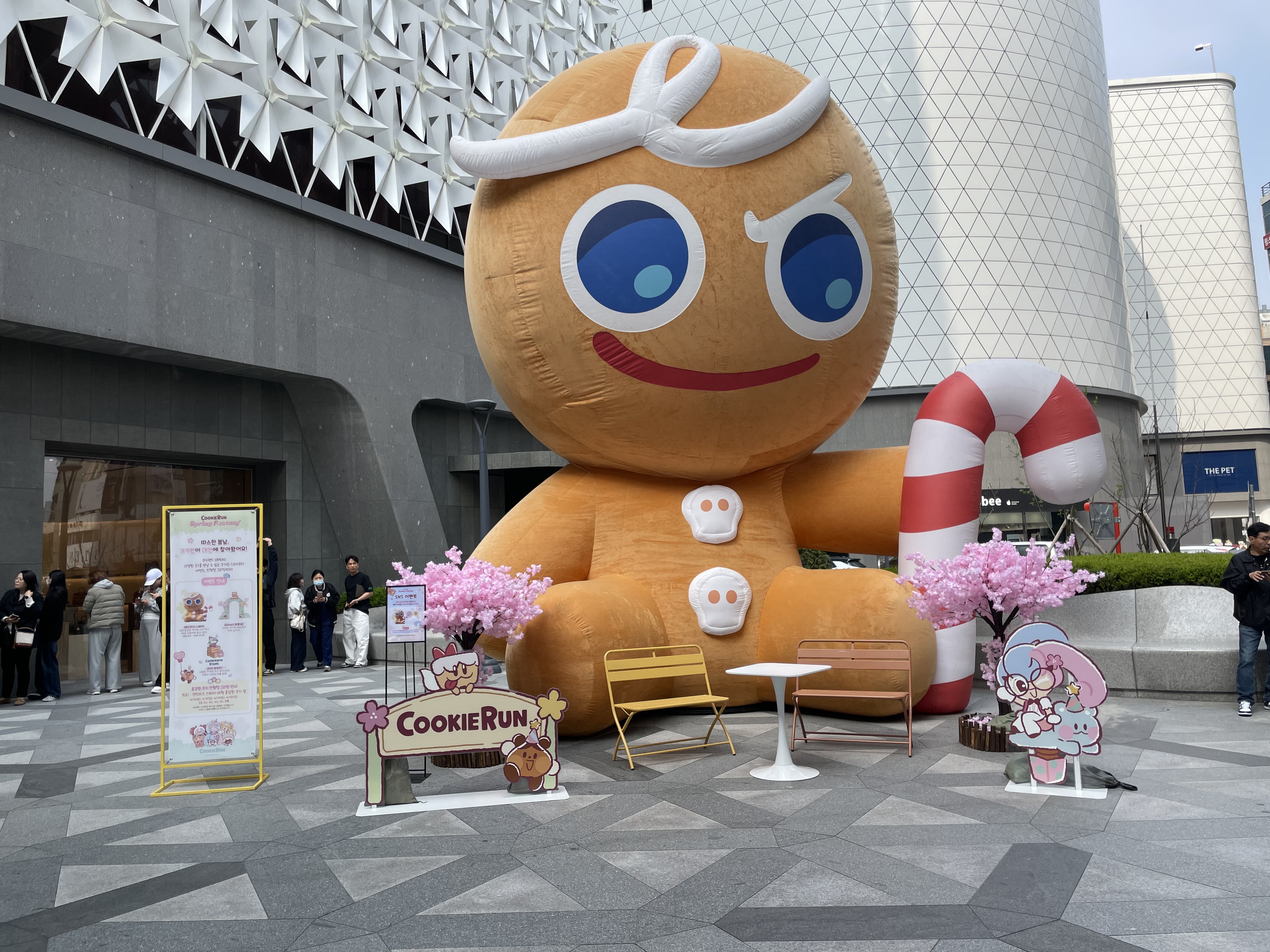 ����� �̹���