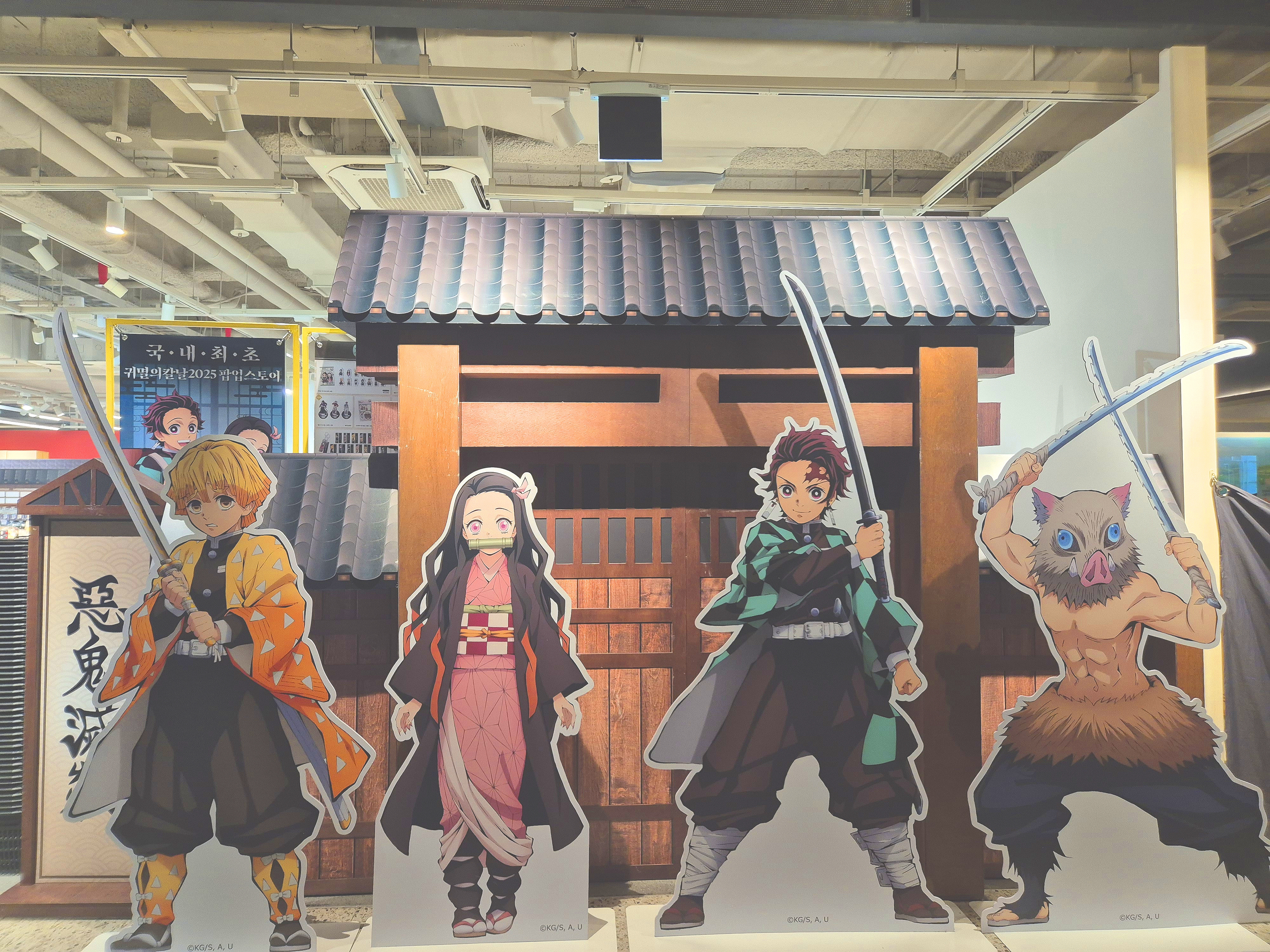 ����� �̹���