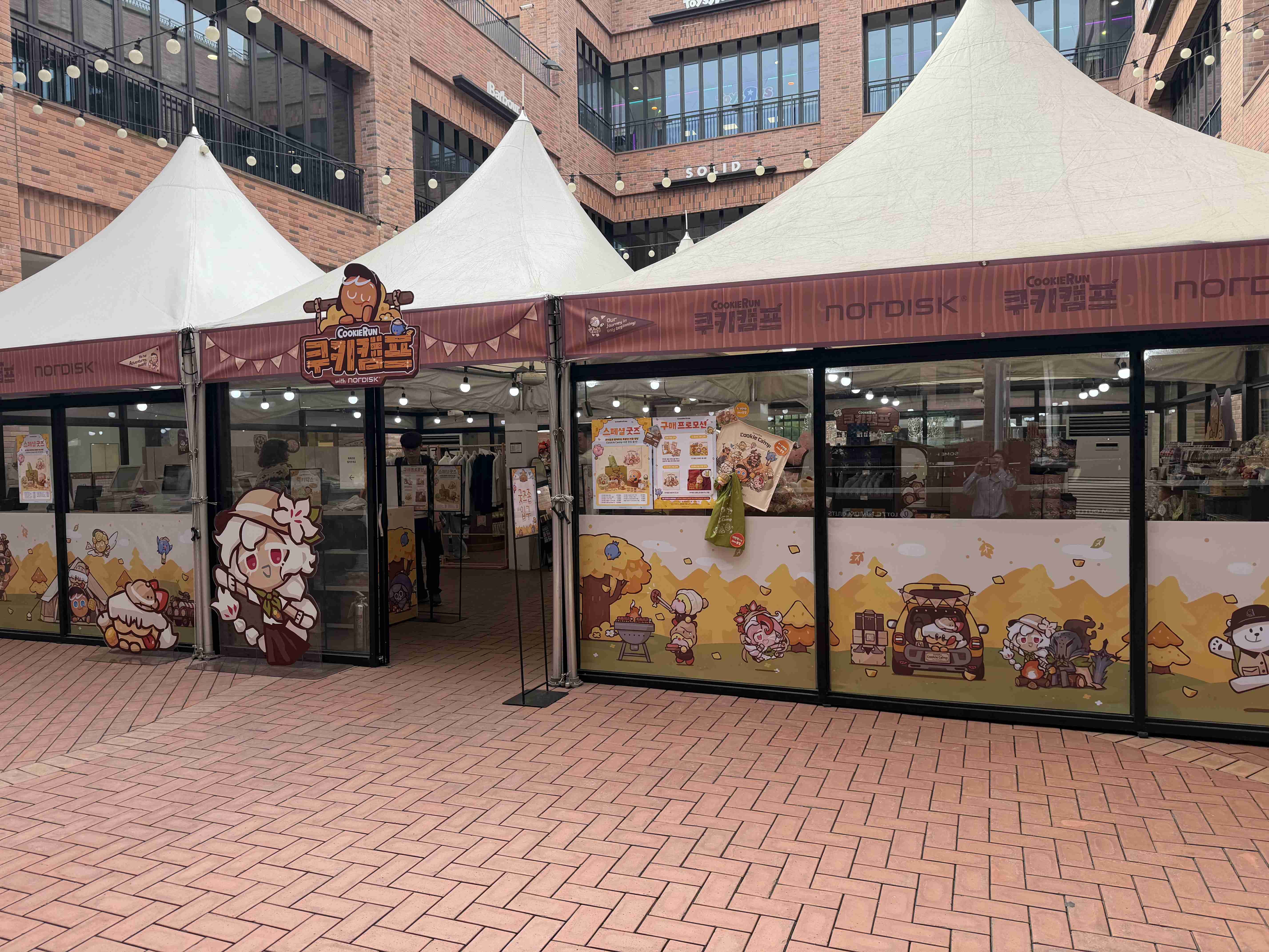 ����� �̹���